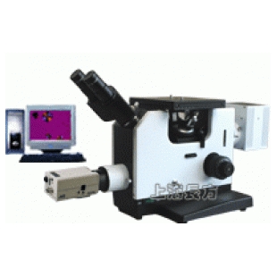 得了風濕性關節炎，飲食有